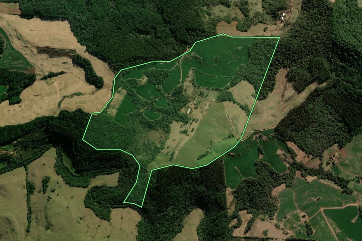 Imagem de satélite do imóvel rural em Flor da Serra do Sul (PR), com o contorno declarado no CAR desenhado por cima.