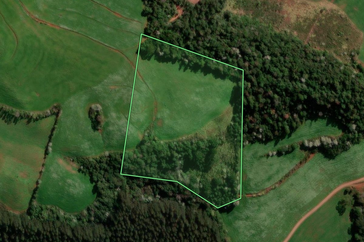 Imagem de satélite do imóvel rural em Flor da Serra do Sul (PR), com o contorno declarado no CAR desenhado por cima.