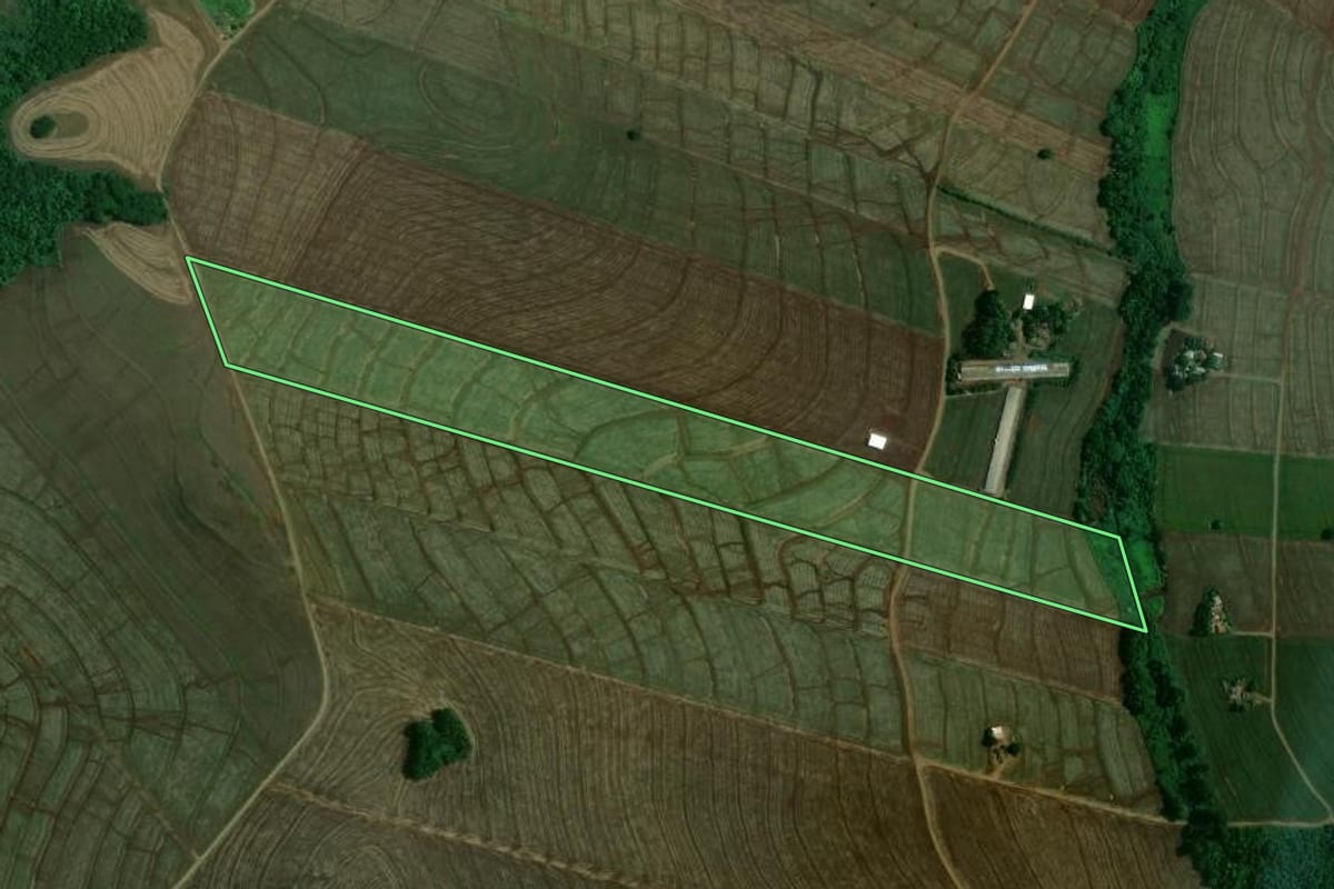 Imagem de satélite do imóvel rural em Floresta (PR), com o contorno declarado no CAR desenhado por cima.