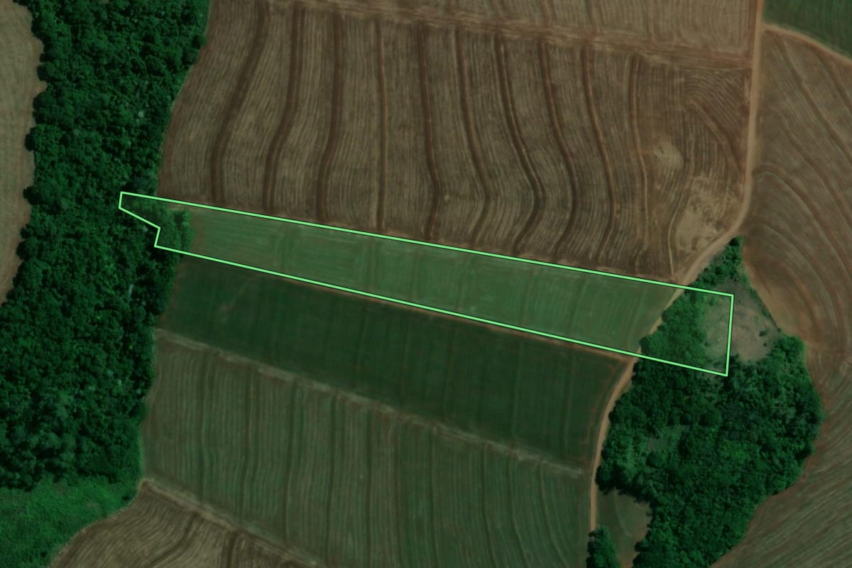 Imagem de satélite do imóvel rural em Floresta (PR), com o contorno declarado no CAR desenhado por cima.