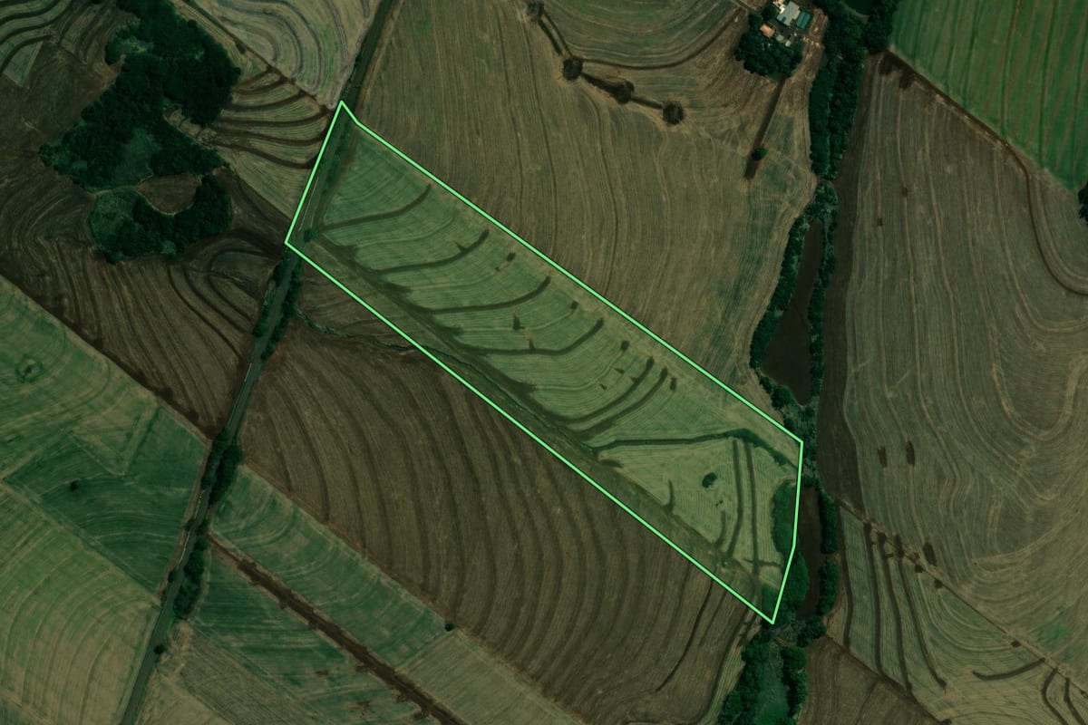 Imagem de satélite do imóvel rural em Floresta (PR), com o contorno declarado no CAR desenhado por cima.