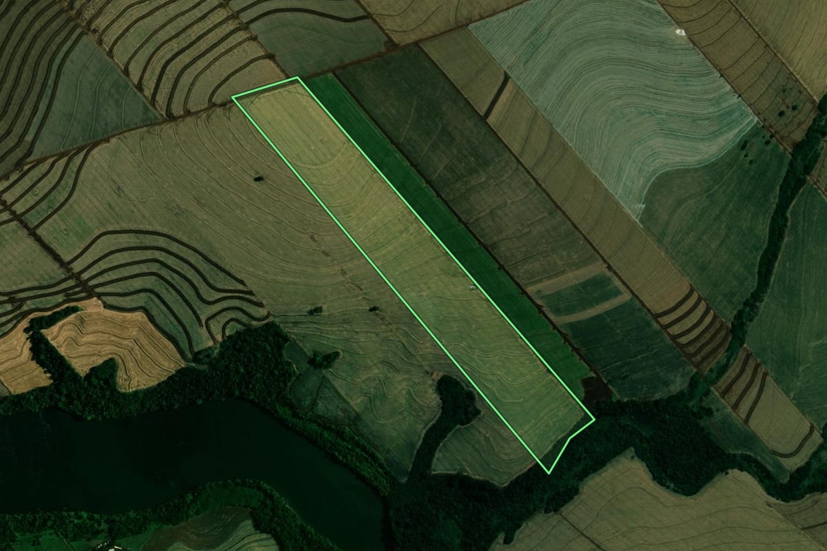 Imagem de satélite do imóvel rural em Floresta (PR), com o contorno declarado no CAR desenhado por cima.