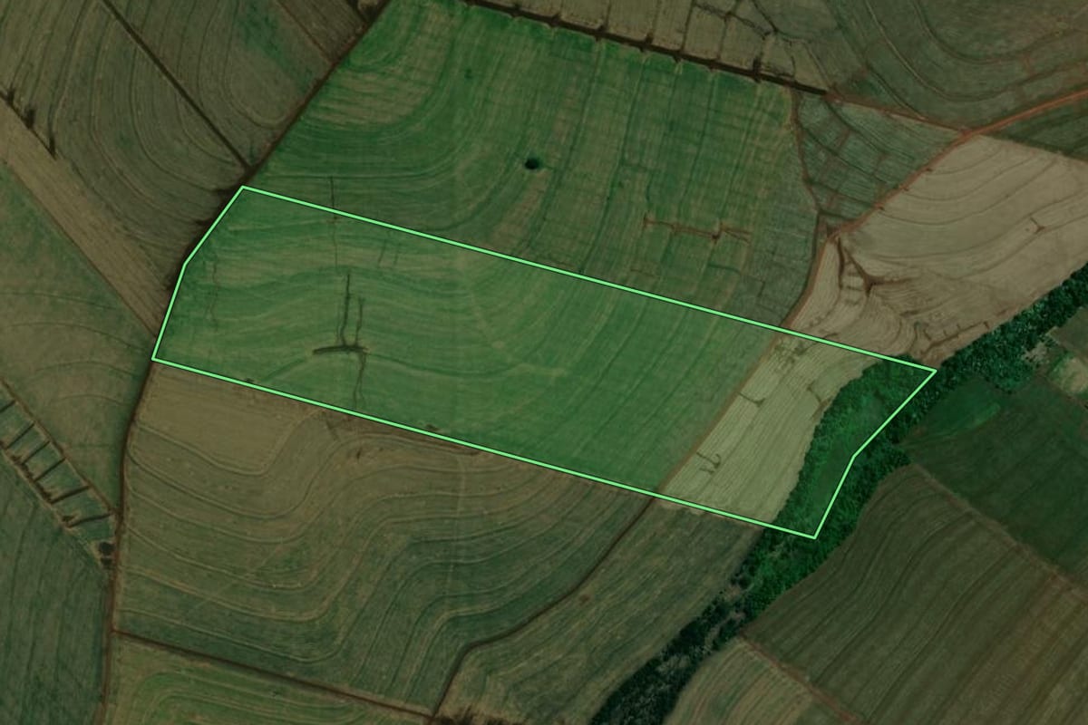 Imagem de satélite do imóvel rural em Floresta (PR), com o contorno declarado no CAR desenhado por cima.