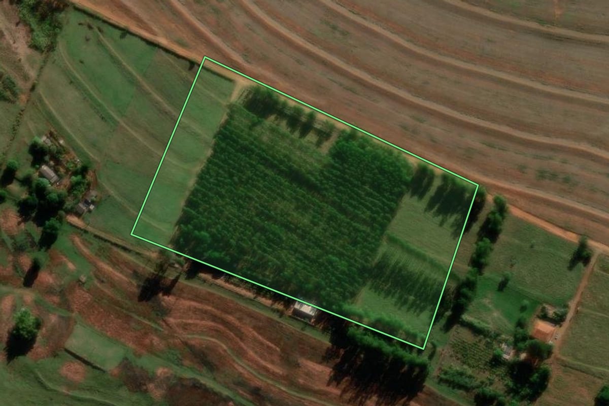 Imagem de satélite do imóvel rural em Florestópolis (PR), com o contorno declarado no CAR desenhado por cima.