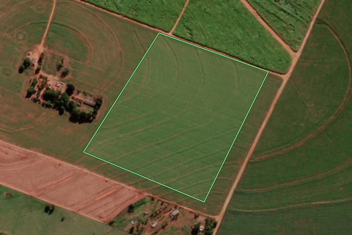 Imagem de satélite do imóvel rural em Florestópolis (PR), com o contorno declarado no CAR desenhado por cima.