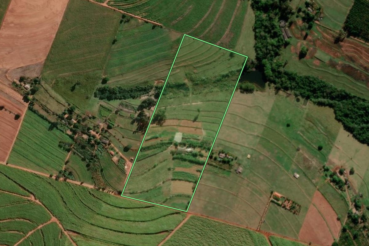 Imagem de satélite do imóvel rural em Florestópolis (PR), com o contorno declarado no CAR desenhado por cima.