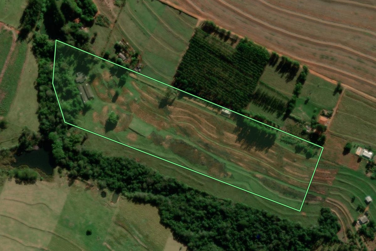 Imagem de satélite do imóvel rural em Florestópolis (PR), com o contorno declarado no CAR desenhado por cima.