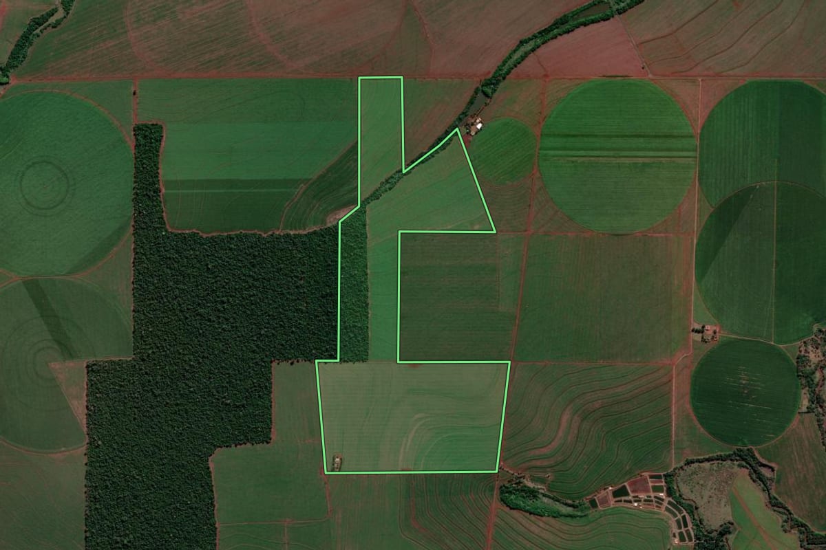 Imagem de satélite do imóvel rural em Florestópolis (PR), com o contorno declarado no CAR desenhado por cima.