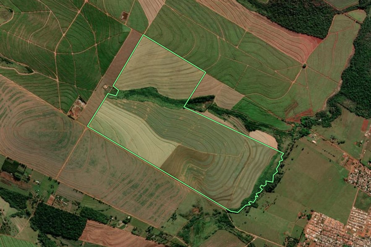 Imagem de satélite do imóvel rural em Florestópolis (PR), com o contorno declarado no CAR desenhado por cima.