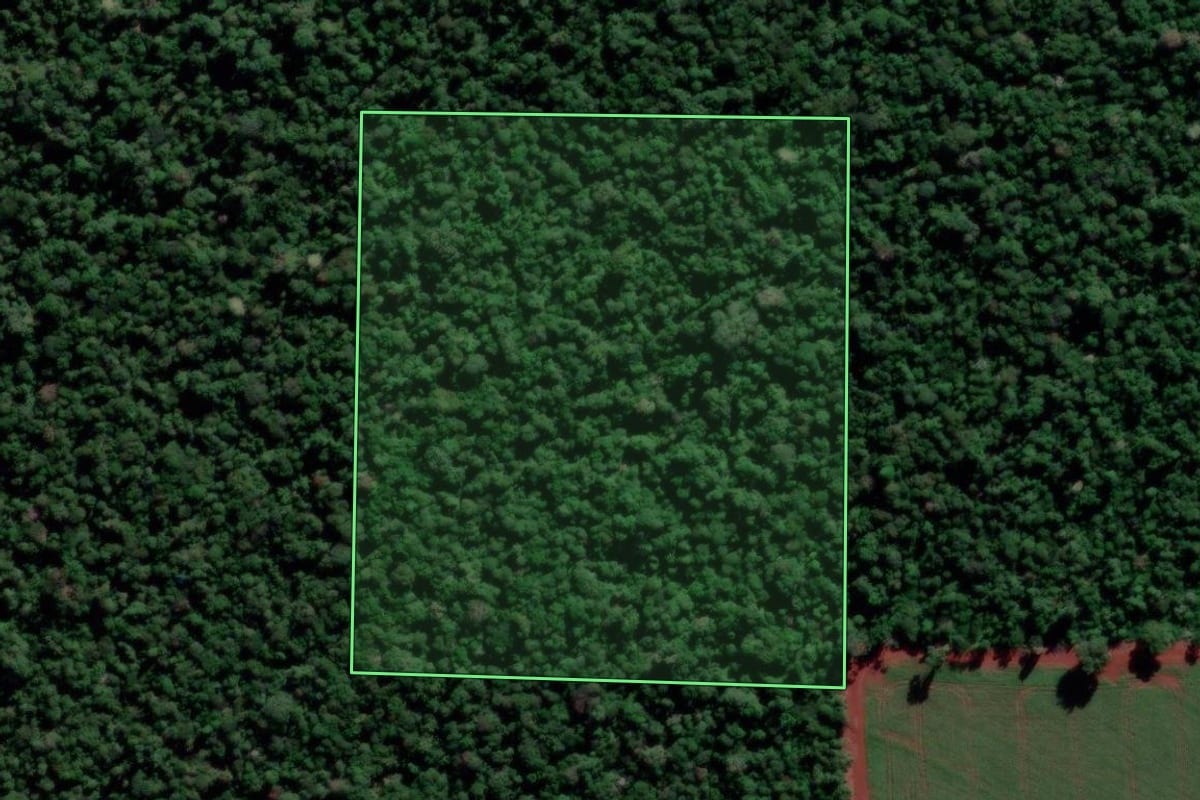 Imagem de satélite do imóvel rural em Florestópolis (PR), com o contorno declarado no CAR desenhado por cima.