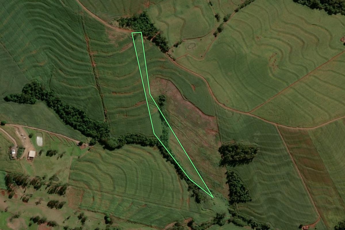Imagem de satélite do imóvel rural em Formosa do Oeste (PR), com o contorno declarado no CAR desenhado por cima.