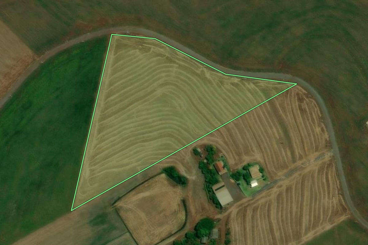 Imagem de satélite do imóvel rural em Formosa do Oeste (PR), com o contorno declarado no CAR desenhado por cima.