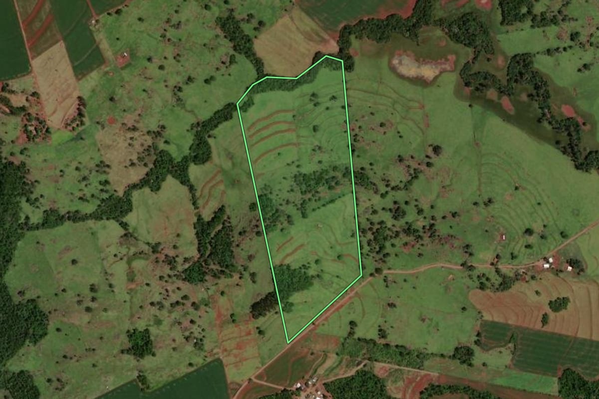 Imagem de satélite do imóvel rural em Formosa do Oeste (PR), com o contorno declarado no CAR desenhado por cima.