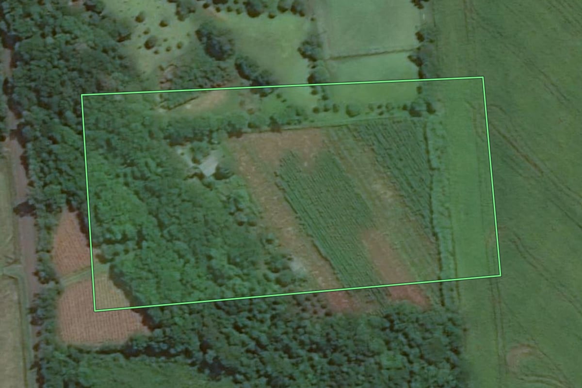 Imagem de satélite do imóvel rural em Foz do Iguaçu (PR), com o contorno declarado no CAR desenhado por cima.