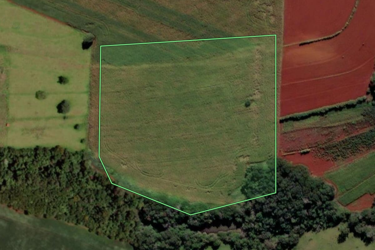 Imagem de satélite do imóvel rural em Foz do Iguaçu (PR), com o contorno declarado no CAR desenhado por cima.