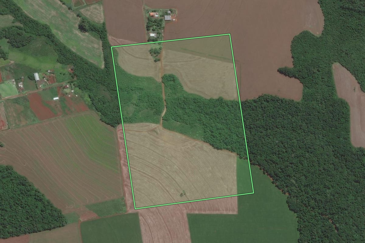 Imagem de satélite do imóvel rural em Foz do Iguaçu (PR), com o contorno declarado no CAR desenhado por cima.