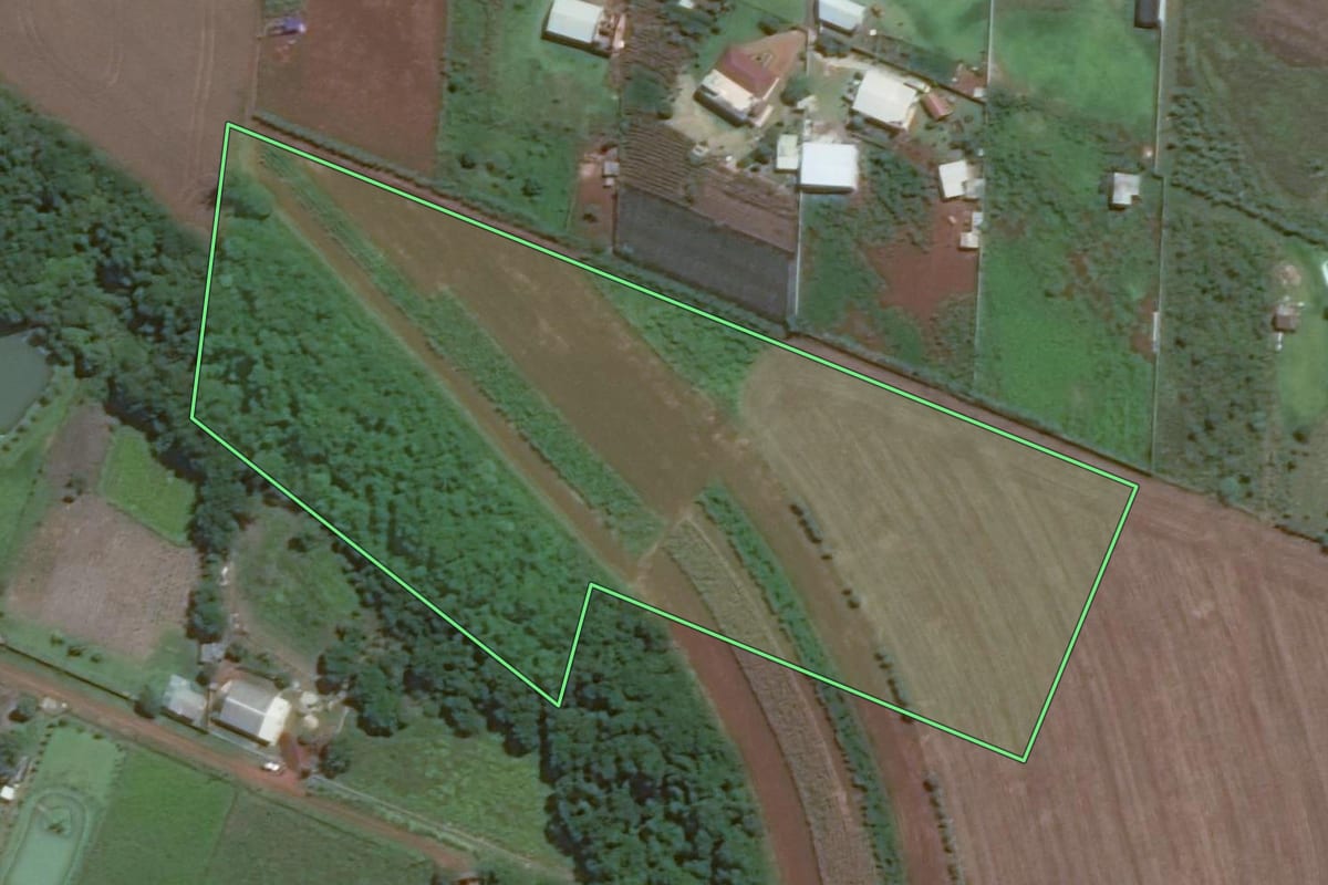 Imagem de satélite do imóvel rural em Foz do Iguaçu (PR), com o contorno declarado no CAR desenhado por cima.