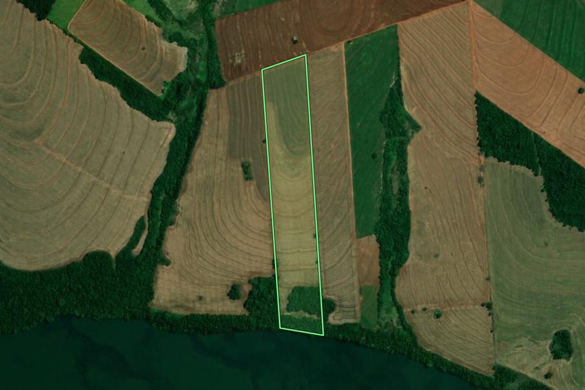 Imagem de satélite do imóvel rural em Francisco Alves (PR), com o contorno declarado no CAR desenhado por cima.