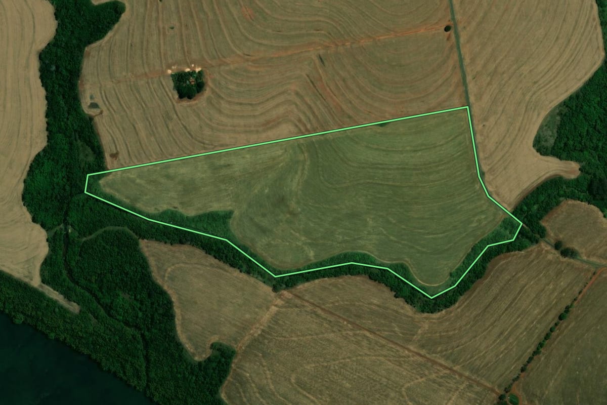 Imagem de satélite do imóvel rural em Francisco Alves (PR), com o contorno declarado no CAR desenhado por cima.