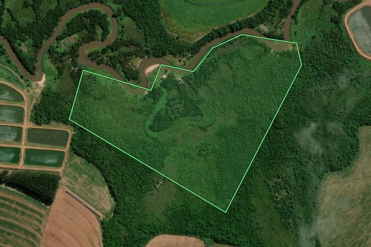 Imagem de satélite do imóvel rural em Francisco Alves (PR), com o contorno declarado no CAR desenhado por cima.