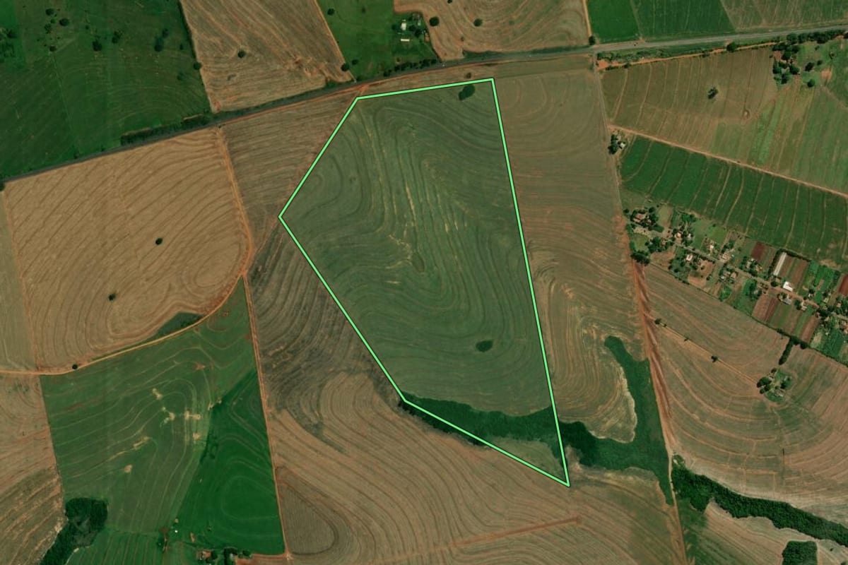 Imagem de satélite do imóvel rural em Francisco Alves (PR), com o contorno declarado no CAR desenhado por cima.