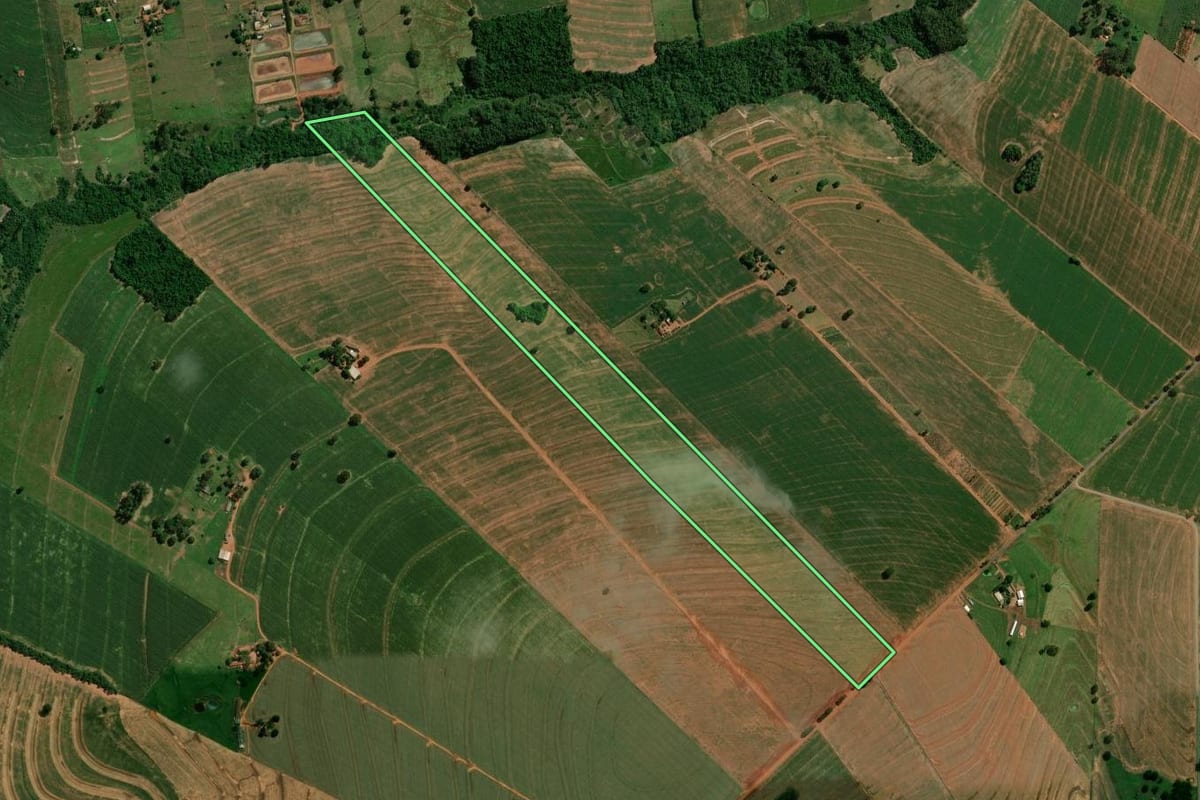 Imagem de satélite do imóvel rural em Francisco Alves (PR), com o contorno declarado no CAR desenhado por cima.