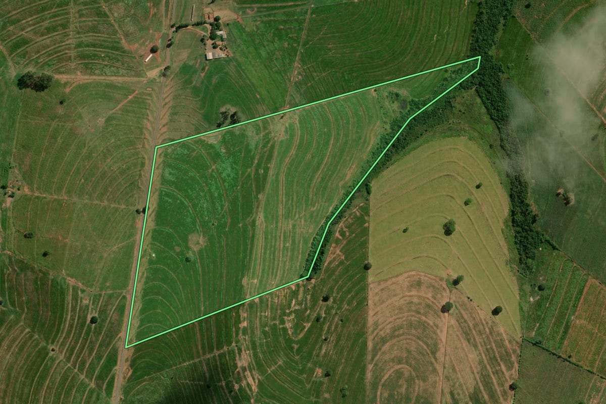 Imagem de satélite do imóvel rural em Francisco Alves (PR), com o contorno declarado no CAR desenhado por cima.