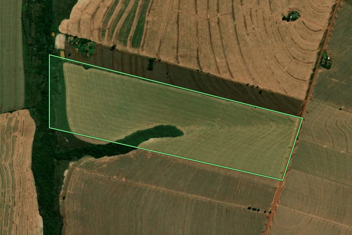 Imagem de satélite do imóvel rural em Francisco Alves (PR), com o contorno declarado no CAR desenhado por cima.