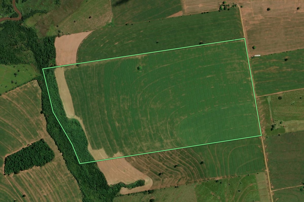 Imagem de satélite do imóvel rural em Francisco Alves (PR), com o contorno declarado no CAR desenhado por cima.
