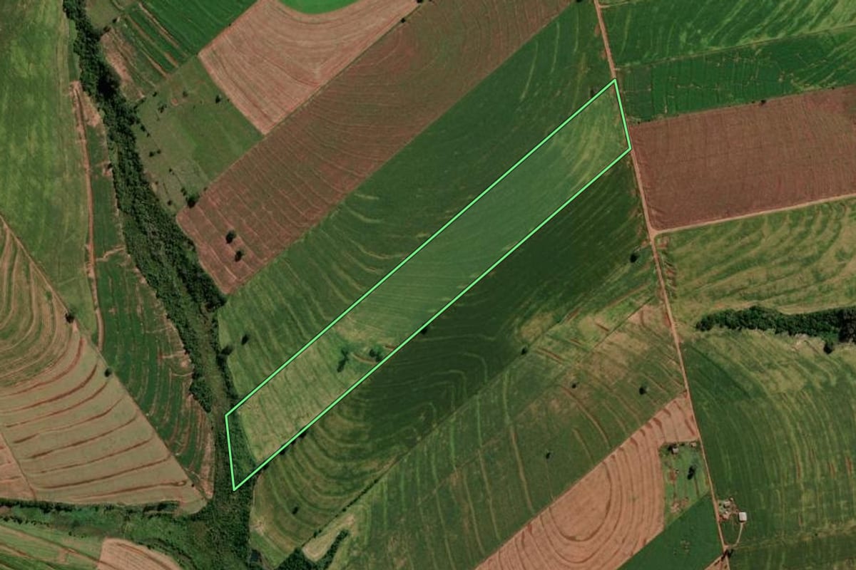 Imagem de satélite do imóvel rural em Francisco Alves (PR), com o contorno declarado no CAR desenhado por cima.