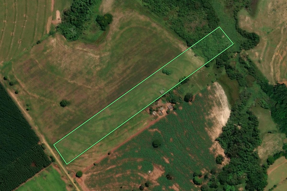 Imagem de satélite do imóvel rural em Francisco Alves (PR), com o contorno declarado no CAR desenhado por cima.