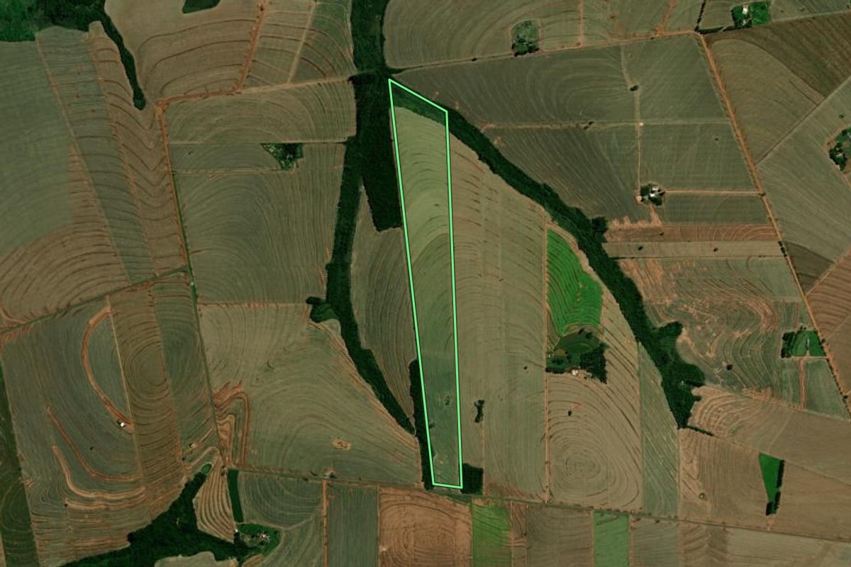 Imagem de satélite do imóvel rural em Francisco Alves (PR), com o contorno declarado no CAR desenhado por cima.