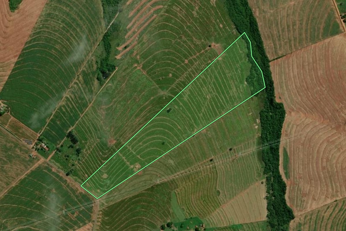 Imagem de satélite do imóvel rural em Francisco Alves (PR), com o contorno declarado no CAR desenhado por cima.
