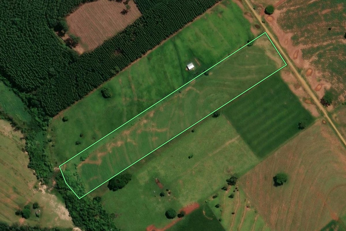 Imagem de satélite do imóvel rural em Francisco Alves (PR), com o contorno declarado no CAR desenhado por cima.