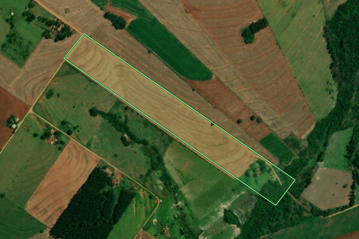 Imagem de satélite do imóvel rural em Francisco Alves (PR), com o contorno declarado no CAR desenhado por cima.