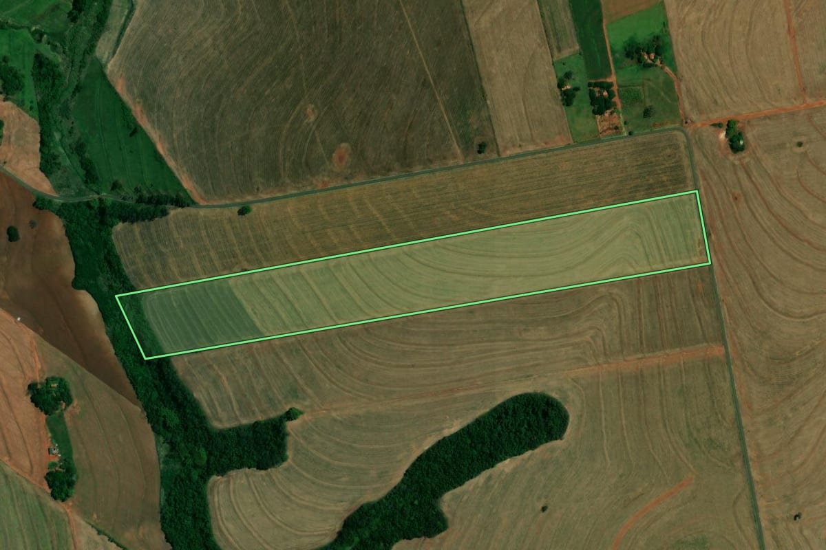 Imagem de satélite do imóvel rural em Francisco Alves (PR), com o contorno declarado no CAR desenhado por cima.