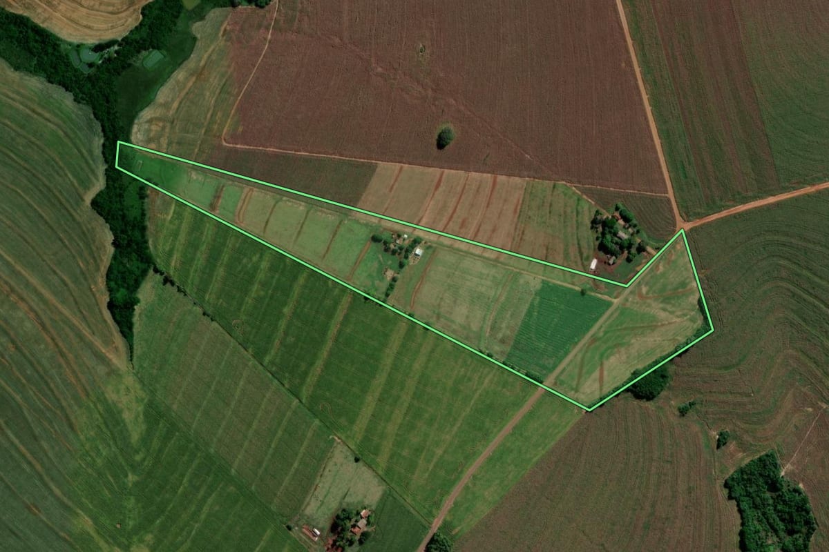Imagem de satélite do imóvel rural em Francisco Alves (PR), com o contorno declarado no CAR desenhado por cima.