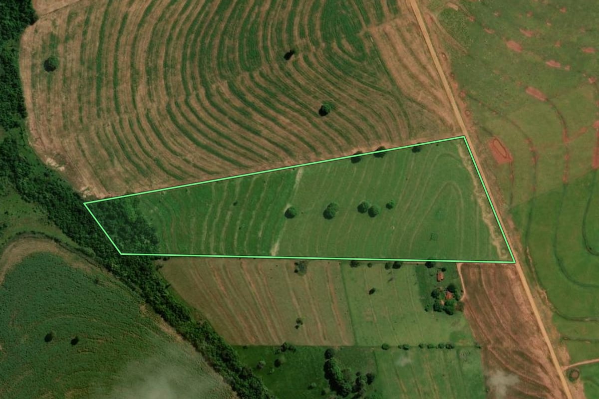 Imagem de satélite do imóvel rural em Francisco Alves (PR), com o contorno declarado no CAR desenhado por cima.