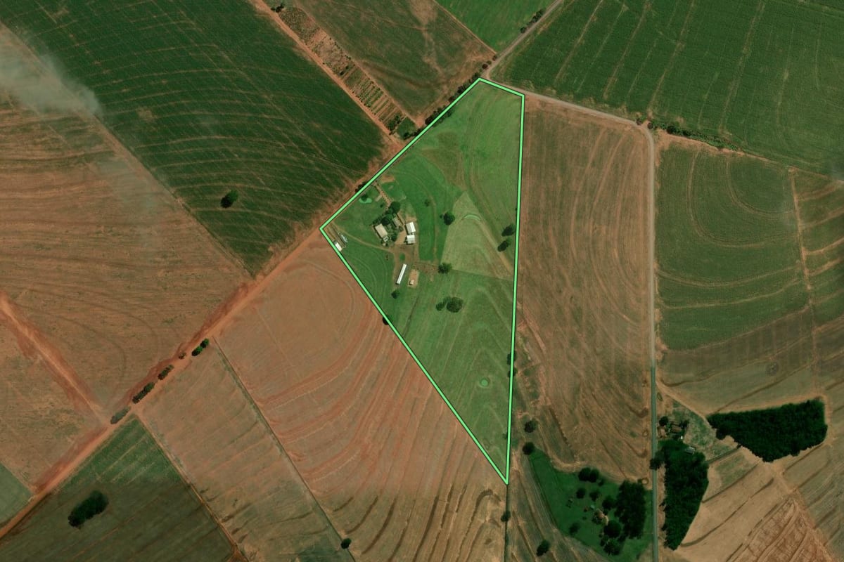 Imagem de satélite do imóvel rural em Francisco Alves (PR), com o contorno declarado no CAR desenhado por cima.