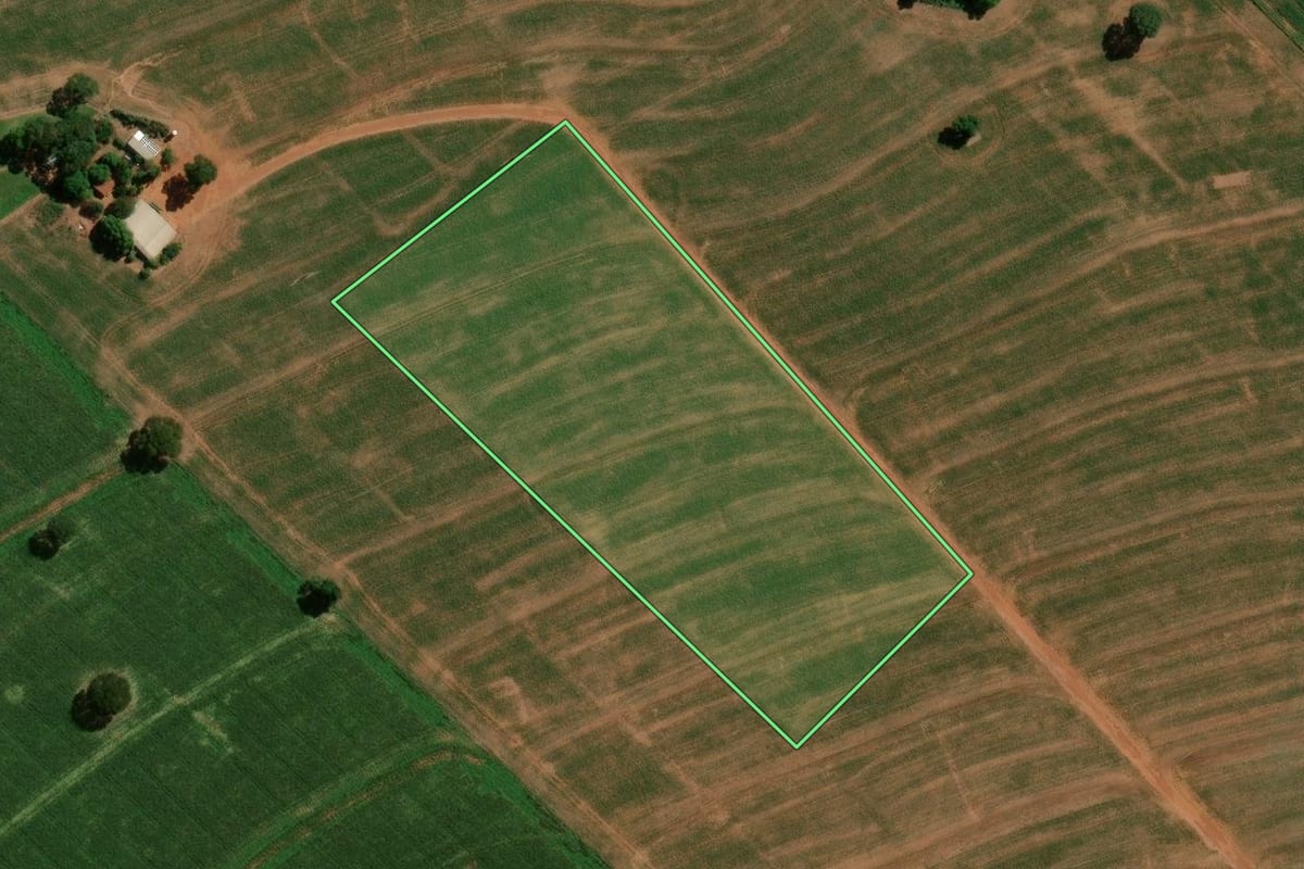 Imagem de satélite do imóvel rural em Francisco Alves (PR), com o contorno declarado no CAR desenhado por cima.