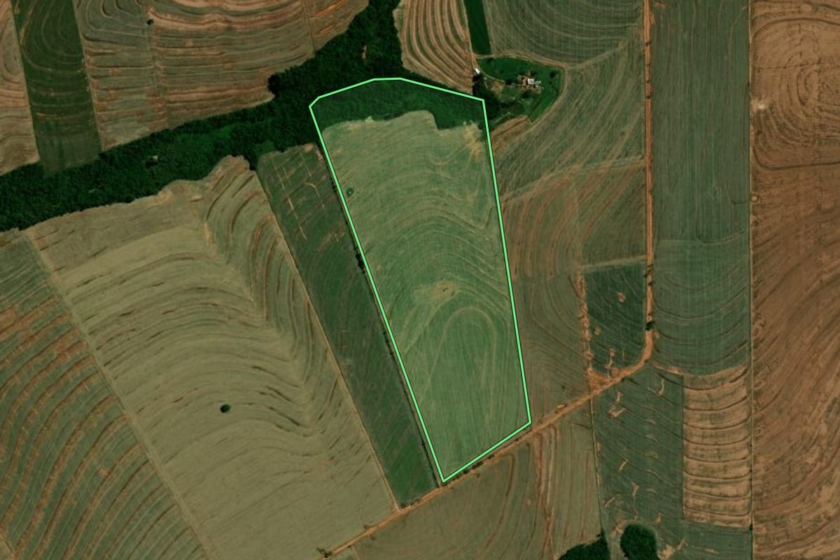 Imagem de satélite do imóvel rural em Francisco Alves (PR), com o contorno declarado no CAR desenhado por cima.