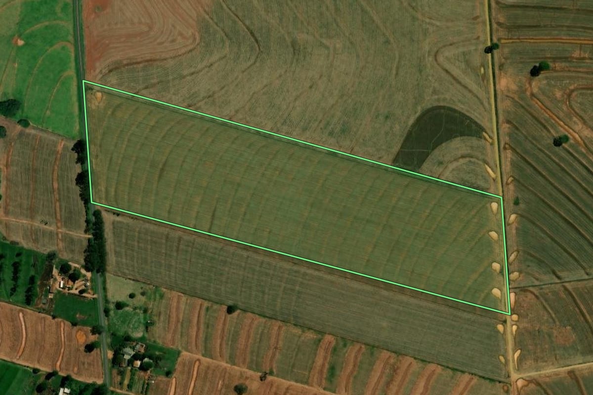 Imagem de satélite do imóvel rural em Francisco Alves (PR), com o contorno declarado no CAR desenhado por cima.
