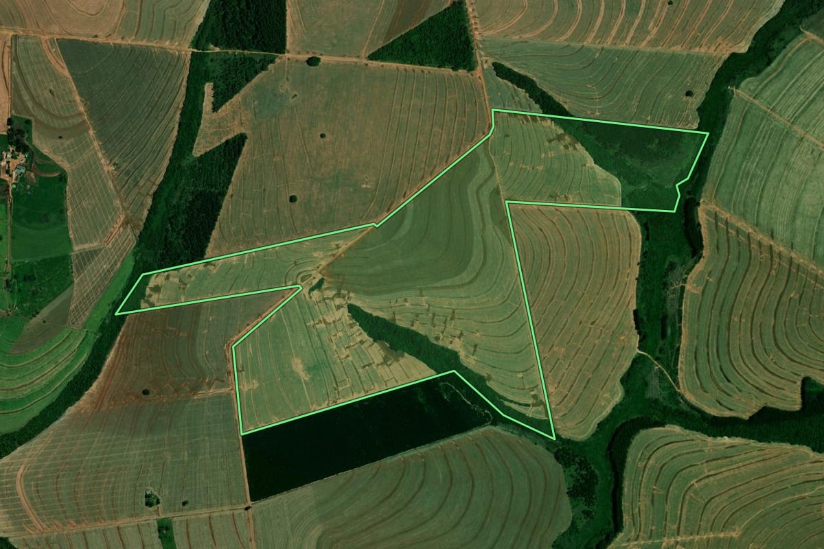 Imagem de satélite do imóvel rural em Francisco Alves (PR), com o contorno declarado no CAR desenhado por cima.