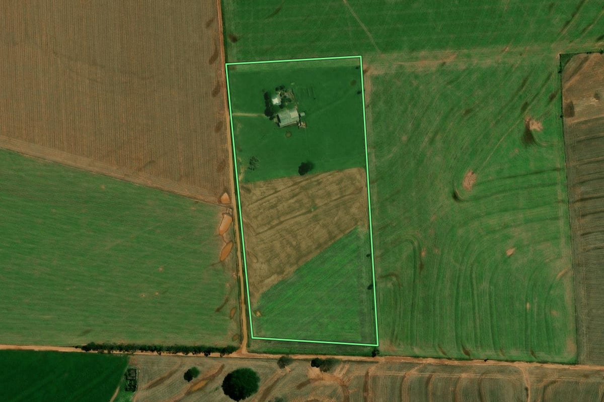 Imagem de satélite do imóvel rural em Francisco Alves (PR), com o contorno declarado no CAR desenhado por cima.