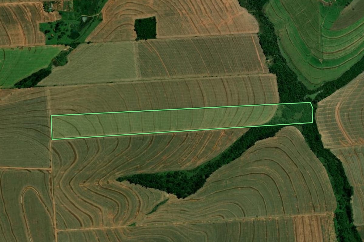 Imagem de satélite do imóvel rural em Francisco Alves (PR), com o contorno declarado no CAR desenhado por cima.