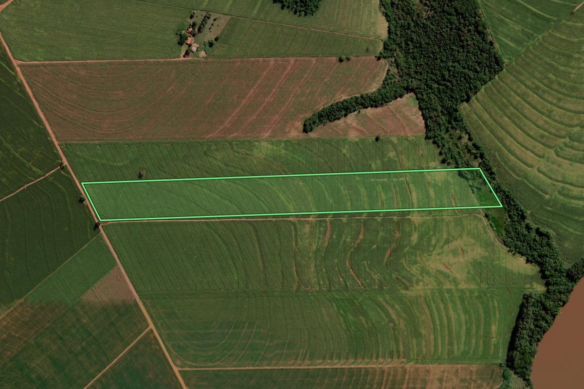 Imagem de satélite do imóvel rural em Francisco Alves (PR), com o contorno declarado no CAR desenhado por cima.