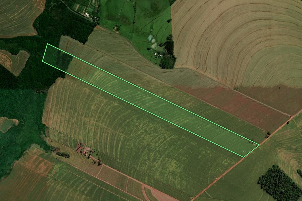 Imagem de satélite do imóvel rural em Francisco Alves (PR), com o contorno declarado no CAR desenhado por cima.