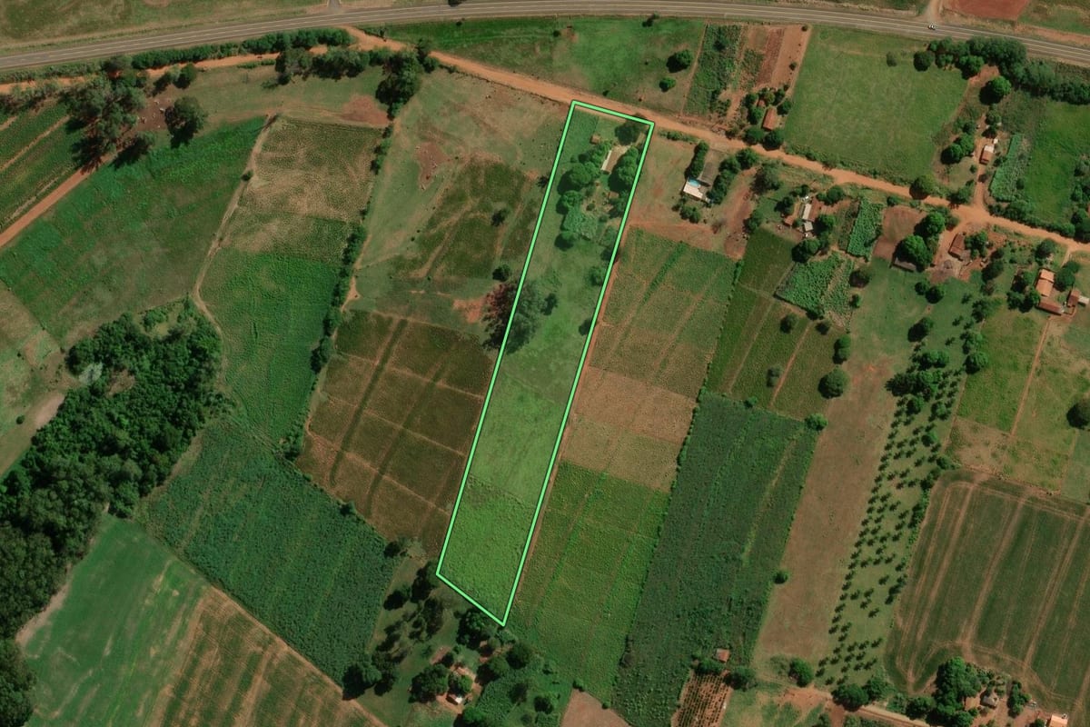 Imagem de satélite do imóvel rural em Francisco Alves (PR), com o contorno declarado no CAR desenhado por cima.
