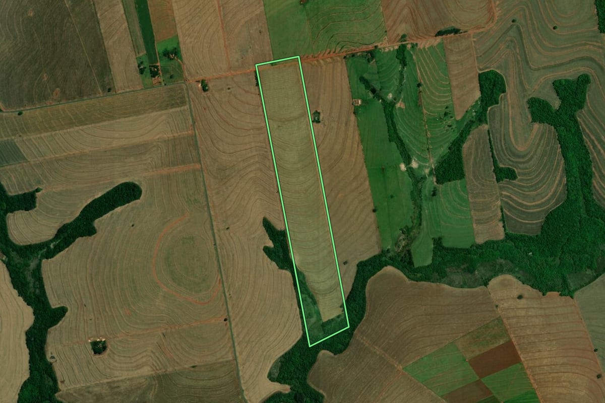 Imagem de satélite do imóvel rural em Francisco Alves (PR), com o contorno declarado no CAR desenhado por cima.