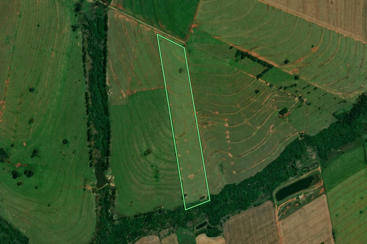Imagem de satélite do imóvel rural em Francisco Alves (PR), com o contorno declarado no CAR desenhado por cima.